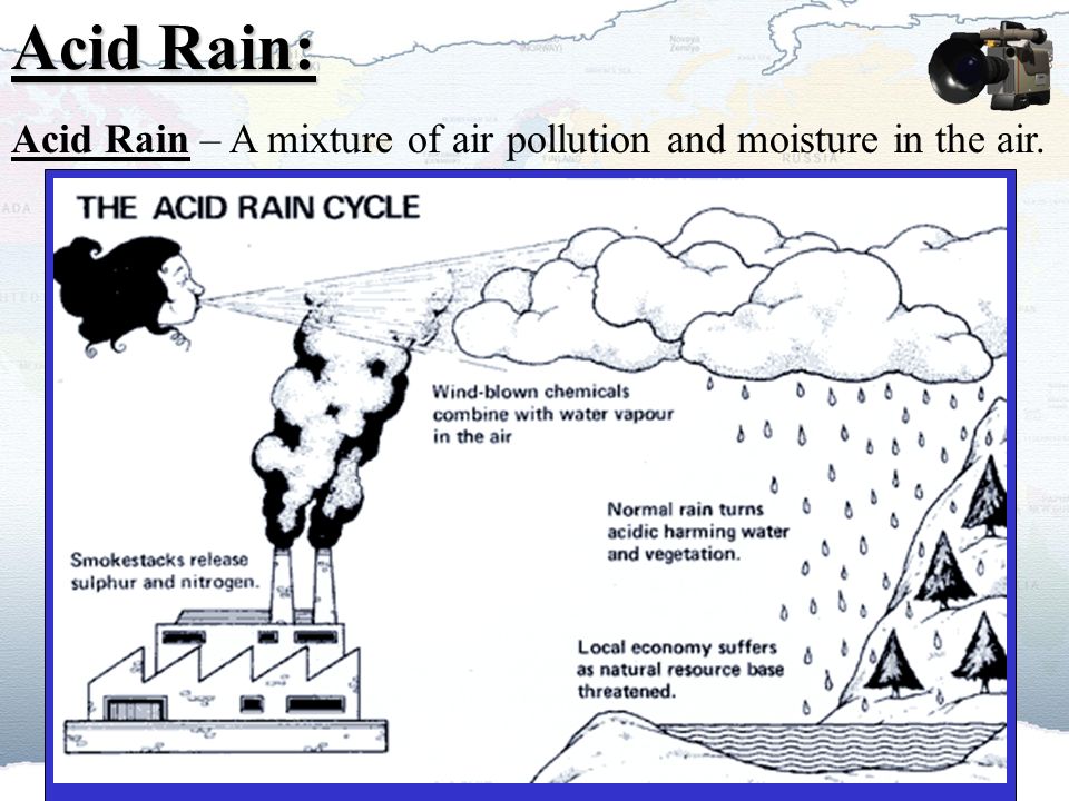 Acid rain. An analysis of thirty years of Dutch acidification policy